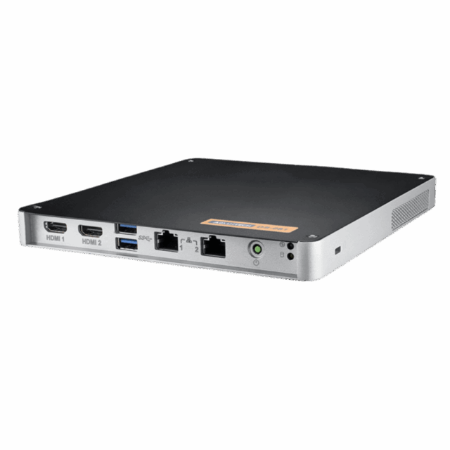 DS-081